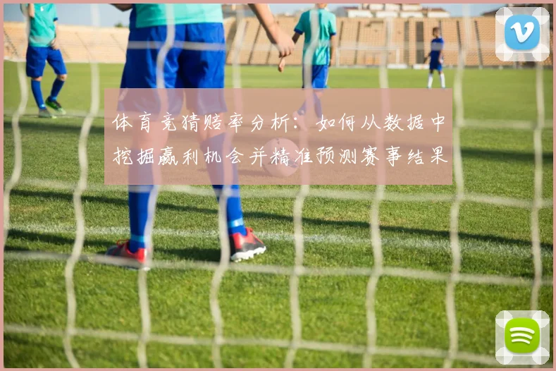 体育竞猜赔率分析：如何从数据中挖掘赢利机会并精准预测赛事结果