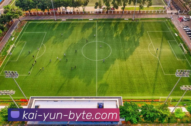 开云平台展示图