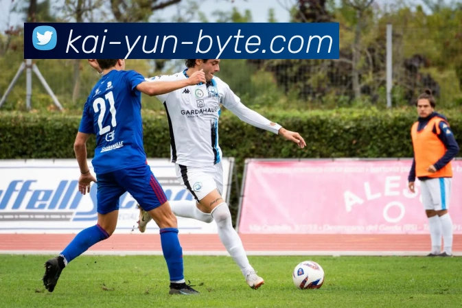 开云官网全站App